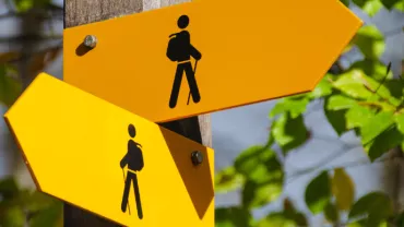 Two yellow hiking trail signs on a post with green leaves in the background.