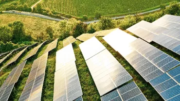 Solar panels in a field, capturing sunlight amid green landscape.